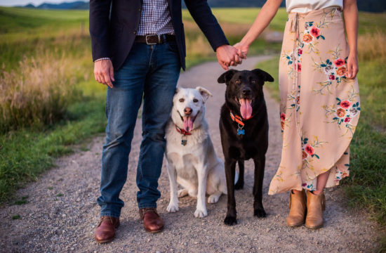 bozeman montana engagement session with dogs