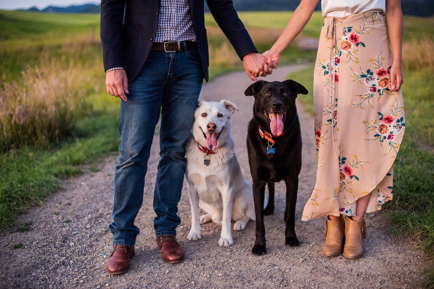 bozeman montana engagement session with dogs